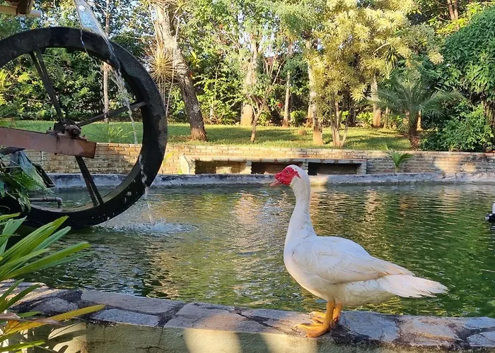 Sítio Roda d'Água
