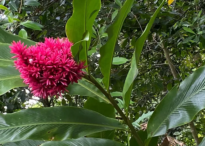 Villa Corazon - Private Beach At Lake Arenal