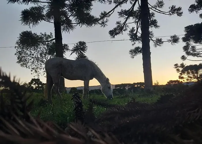 Pousada Recanto Das Araucárias