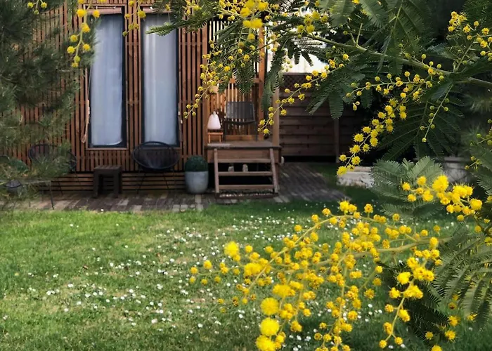 Les Suites D'Alienor-Suite Mimosa