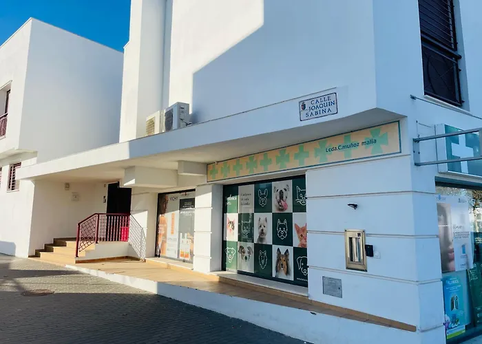 Atico Premium Con 2 Terrazas, Parking Privado, Piscina, Aire Acondicionado Y Wifi -Solo Familias Y Parejas-