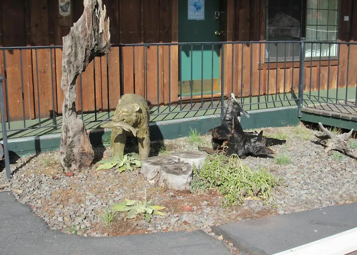 The Woodsman Country Lodge Motel