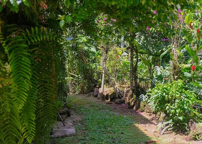 Casa em penedo com cachoeira
