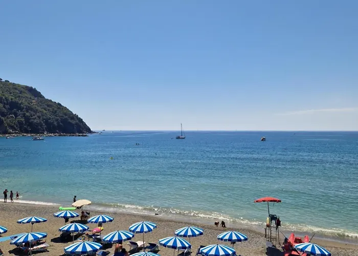 Il Nido Delle Rondini