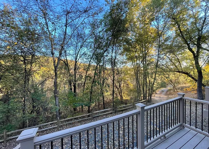 Woodland Oasis