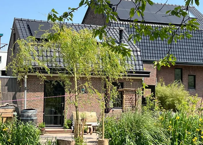 Guesthouse Rotterdam, Tinyhouse Nearby Kralingen