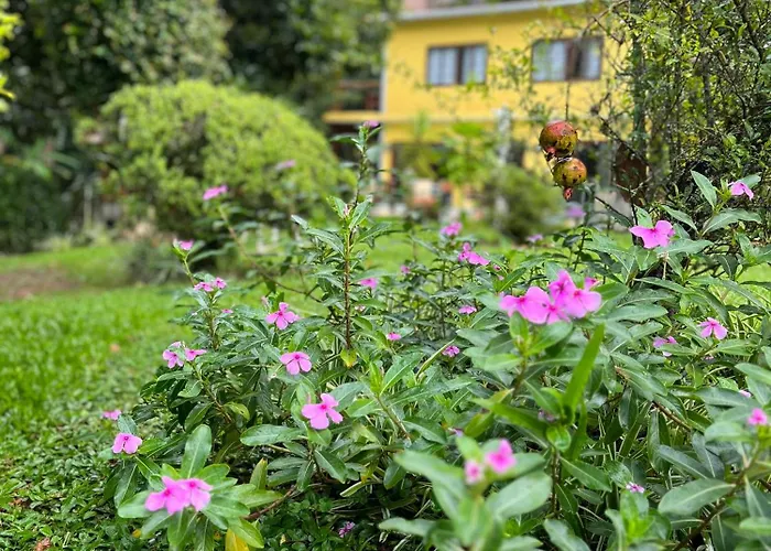 Villa Aconchego Corrêas Itaipava