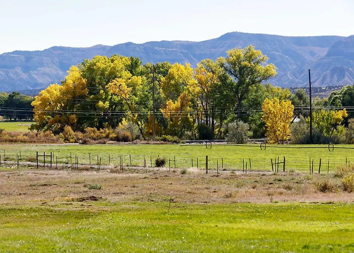 Cortez Retreat W/ Office & Stunning Mtn Views