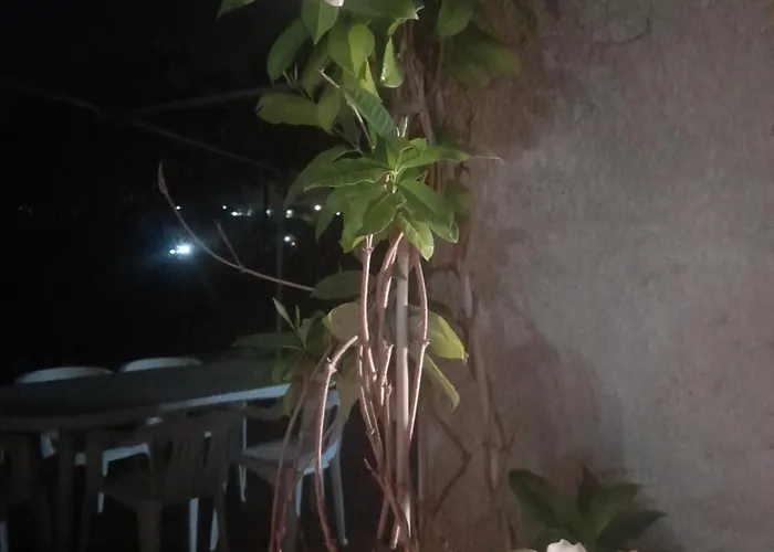 Casa Celeste