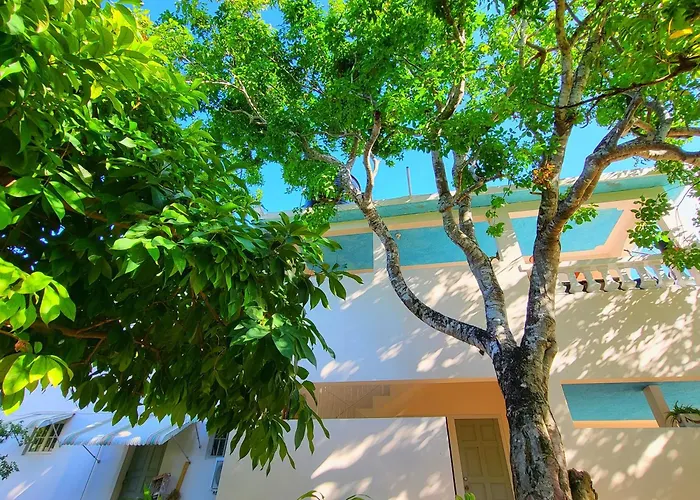 Green'S Palace Jamaica