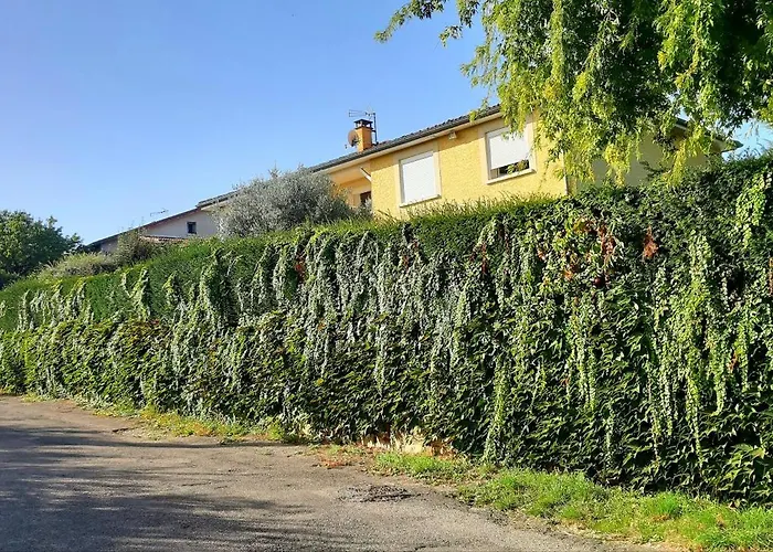 Ma Maison Fleurie Proche Aeroport Lyon St Exupery, Ldlc Arena, Groupama Stadium,Eurexpo
