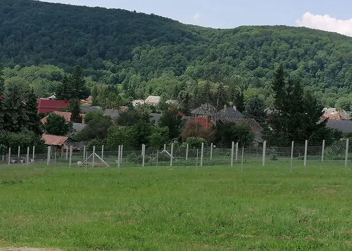 Borostyankut Wellness Home Bakonybel