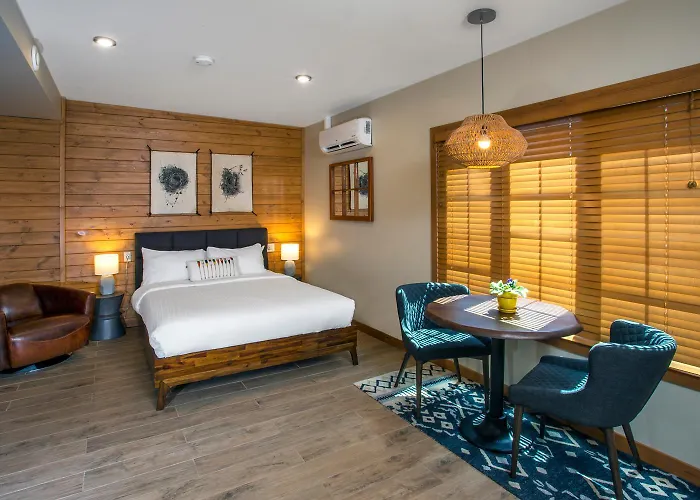 Bear Hill Lodge