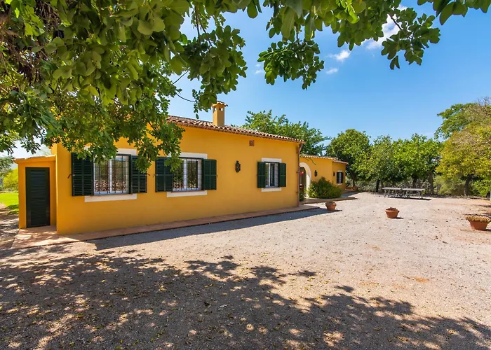 Finca Son Blat