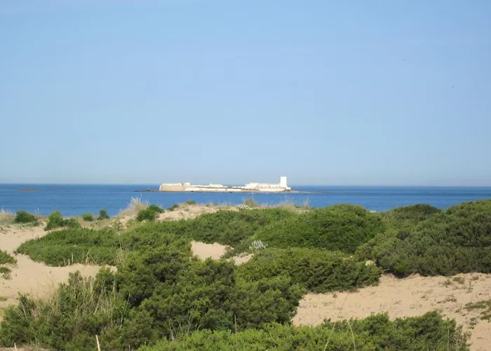 La Casita Del Sopapo