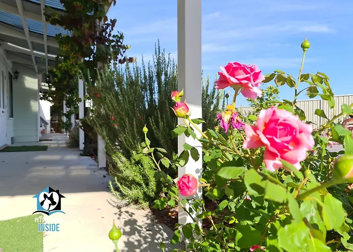 A Beautiful Property, Walking Distance To The Beach In Esperance Wa!