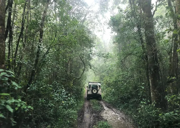 Tonquani - Knysna - Private Forest Retreat And Cottages