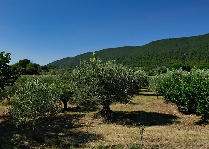 Terre De Lumiere