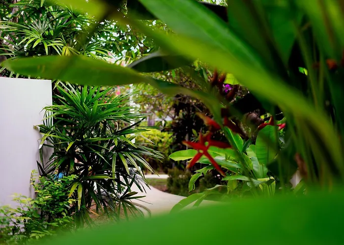 Orchid Lodge Samui - Bed & Breakfast