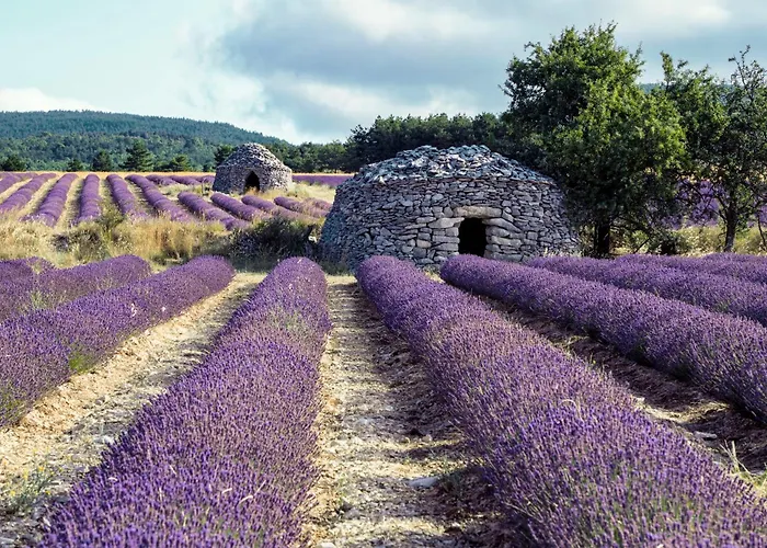 Le Cabanon Des Lavandes Entre Mont Ventoux Et Luberon