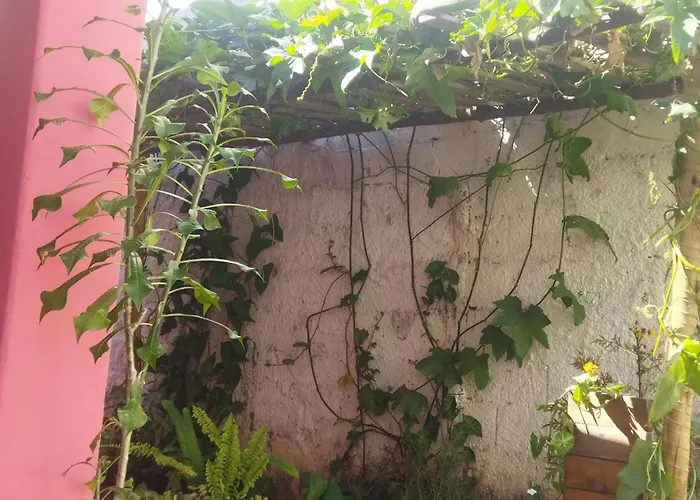 Pousada incrível, silenciosa e familiar