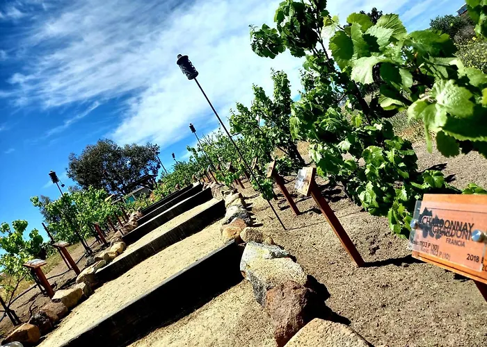 Finca Vidandrei Casa Eucalipto