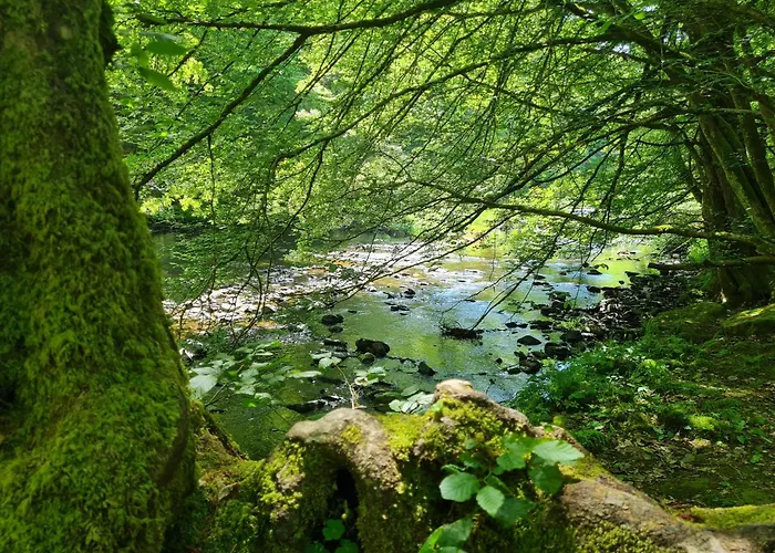 Ferienhaus Droefter Blick
