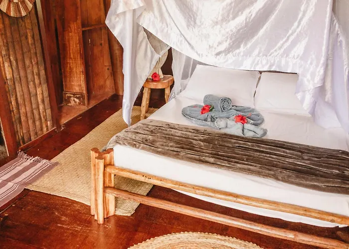 Art Jungle Eco Lodge