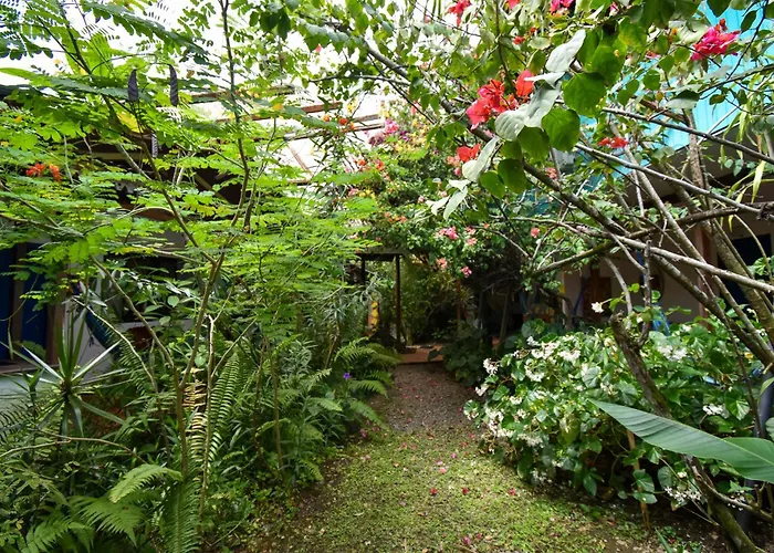 Cabinas Jacaranda