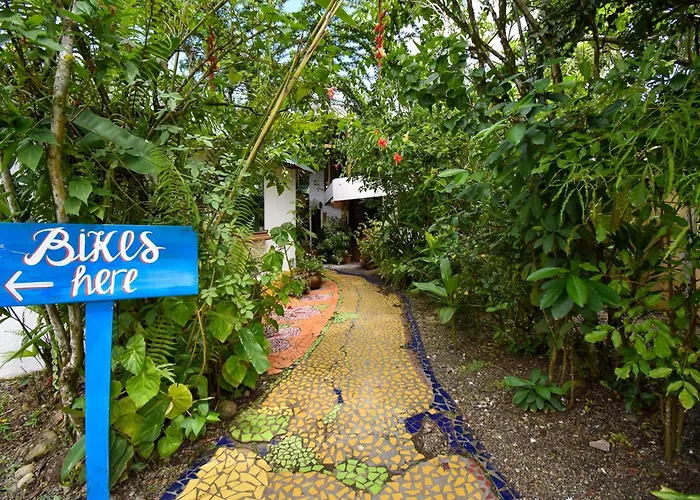 Cabinas Jacaranda