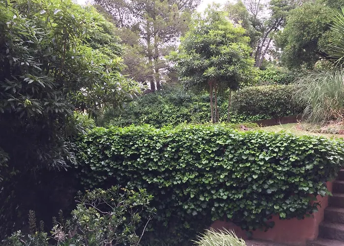 Lei Home