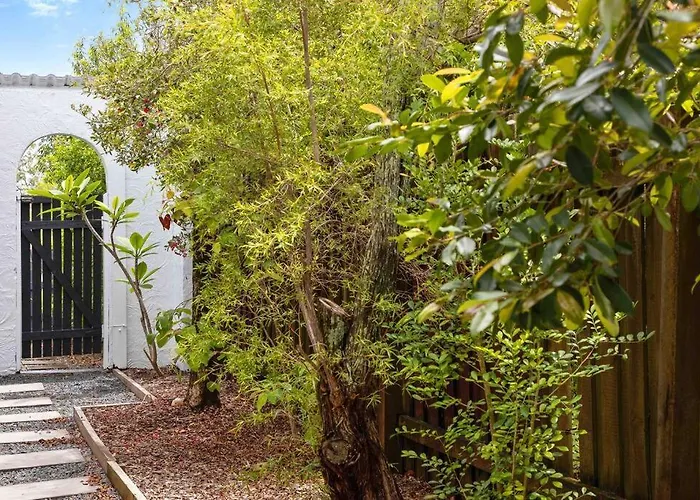Pa2 Stunning Sunshine Beach Apt Pets Welcome