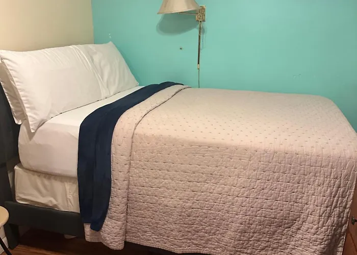 Genevieve'S Comfort Pad