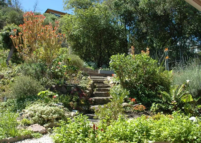 The Terraverde