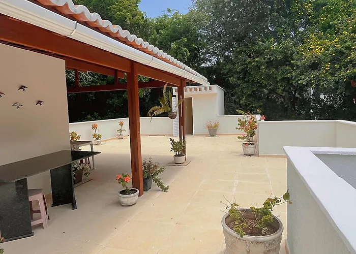 Solar Da Floresta