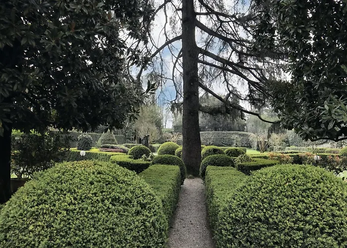 Il Sogno Di Elisa