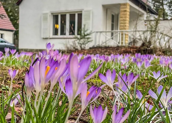 Ferienhaus Am Weissen Adler
