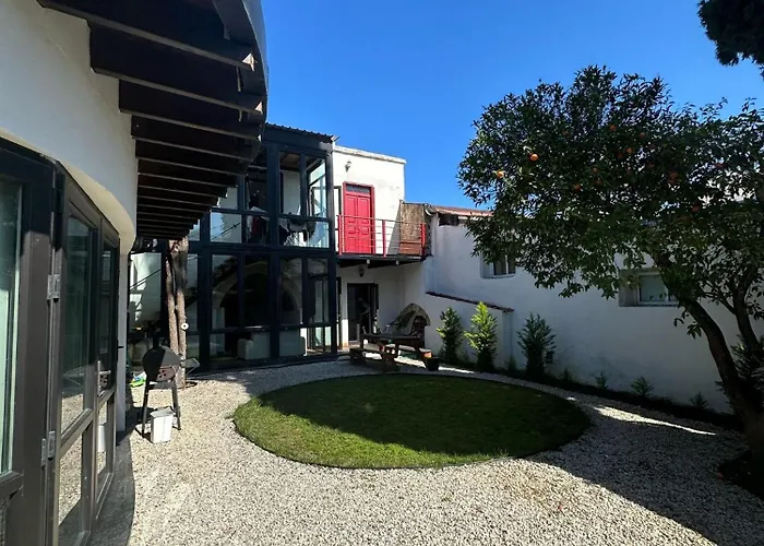 Olive House