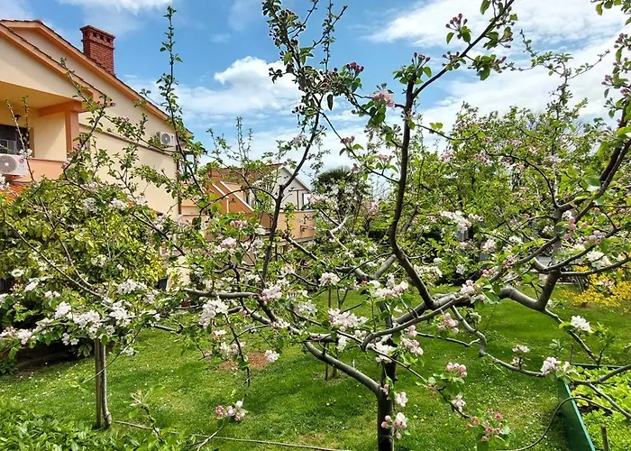 Guest House Krk Town Centre