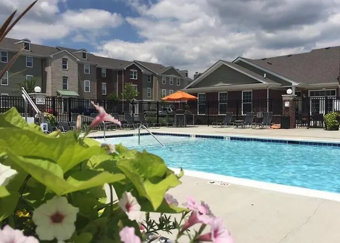 Luxury 1Br/1Ba W/ Top Amenities In Prime Location