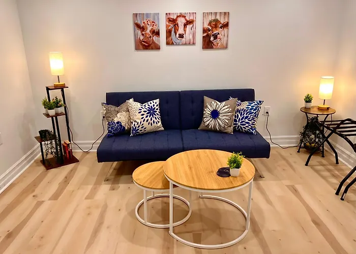 The Boho Oasis
