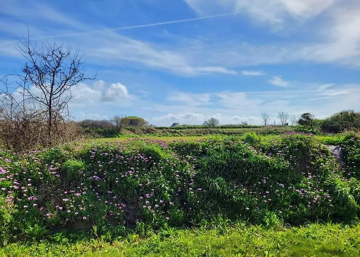 Gite Coquet Et Colore Au Conquet