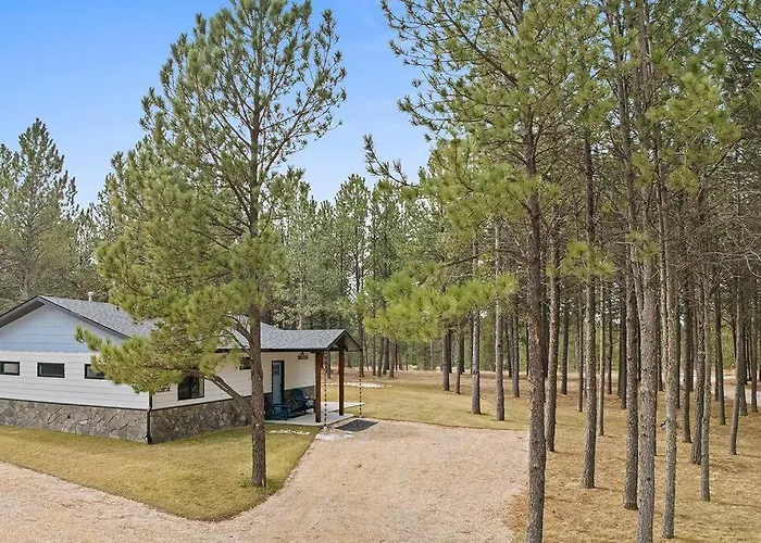Camp Bluebird