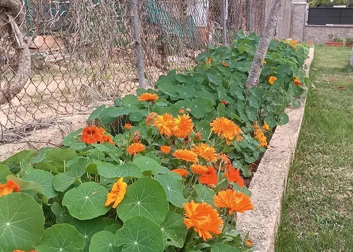 Escapada De Ciudad Al Aire Libre Con Jardin Privado, Tranquilo Y Romantico