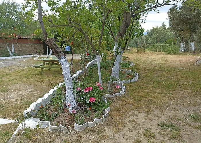 Lotus House