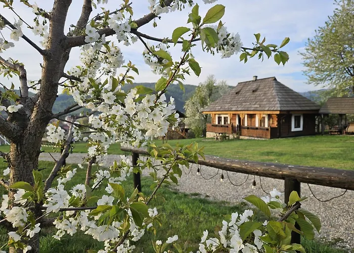 Pension La Roata