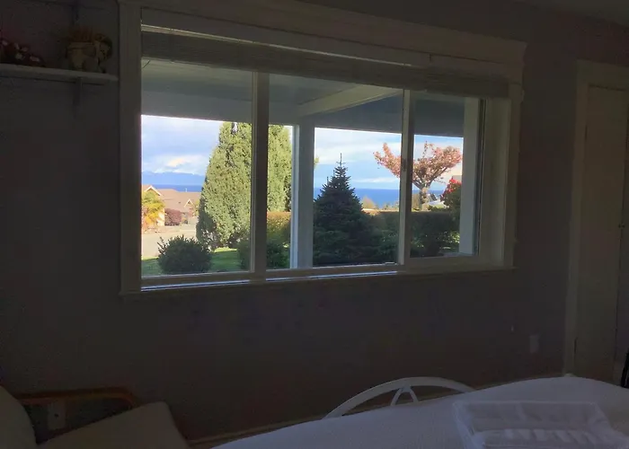 Neckpoint Treasure Bnb
