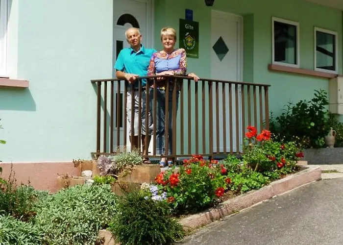 Gite Confortable A La Bresse, Proche Centre-Ville, Nature Et Activites