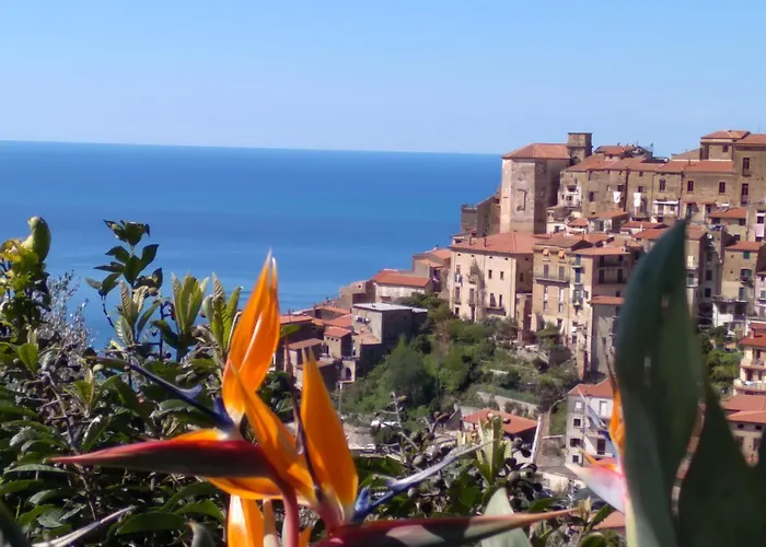 Le Case Dei Fiori