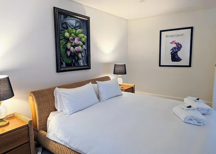 One Luxury Apartment